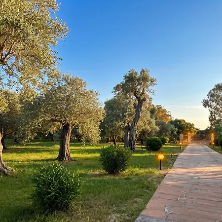 Ulivo With Private Pool, Large Garden And Parking Vila