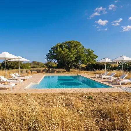 Villa Ulivo With Private Pool, Large Garden And Parking *